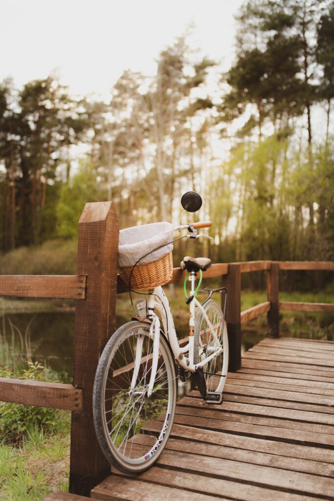 Bicicleta de paseo