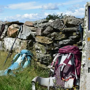 El Camino de Santiago